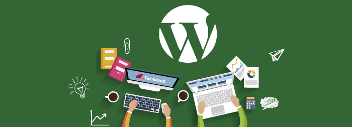 Soluciones sin plugins en WordPress ¿mito o realidad?